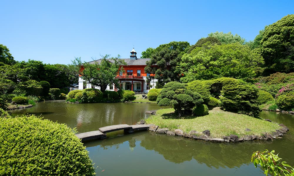 小石川植物園