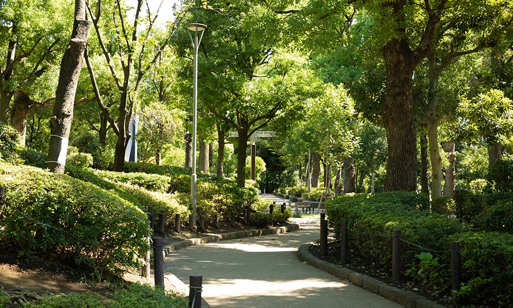 教育の森公園