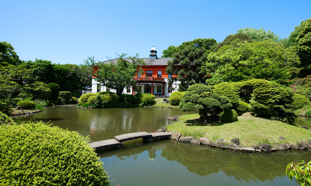 小石川植物園