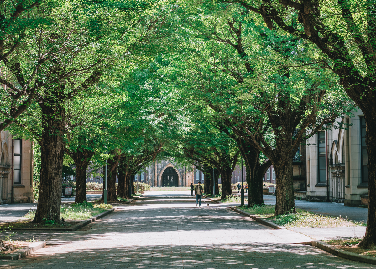 東京大学